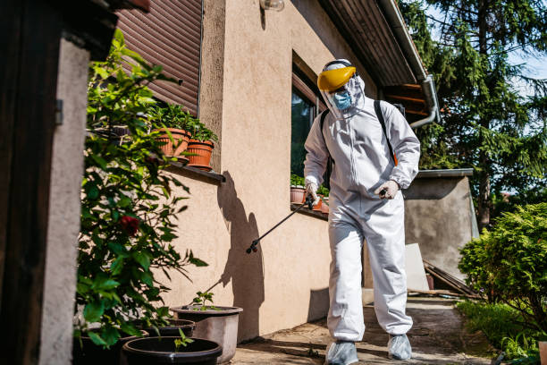 Best Mosquito Control Services  in Mcdonald, OH