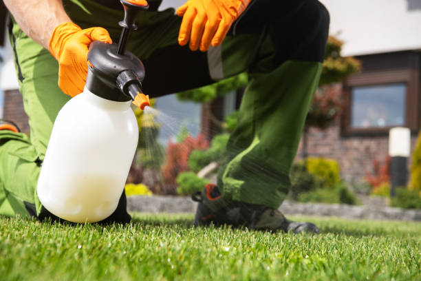 Best Pest Prevention Services  in Mcdonald, OH