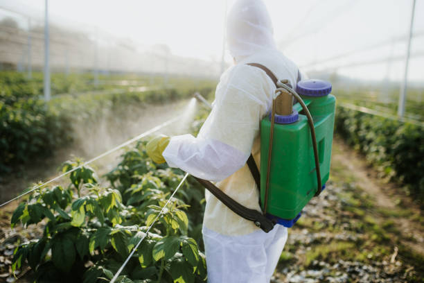 Best Flea Control Services  in Mcdonald, OH